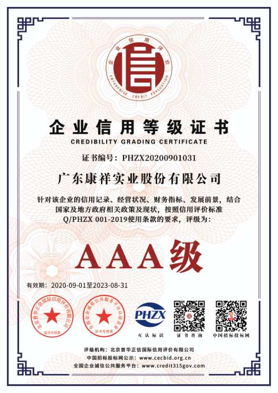 康祥大事記 | 逆勢(shì)發(fā)展,實(shí)力盡顯(圖10) 康祥大事記 | 逆勢(shì)發(fā)展,實(shí)力盡顯(圖10)